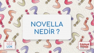 Novella nedir?