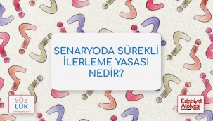 Senaryoda sürekli ilerleme yasası nedir?