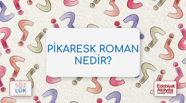 Pikaresk roman nedir?