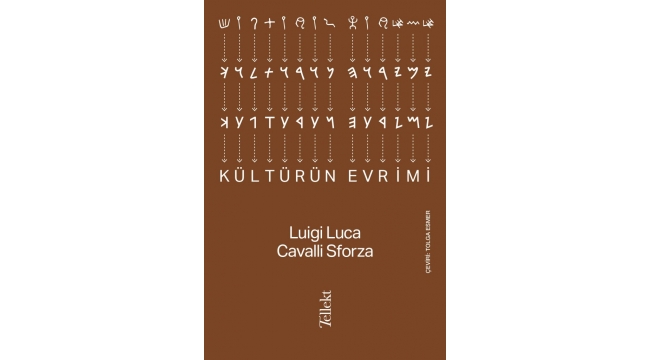 Kültürün evrimi nasıl gerçekleşti?