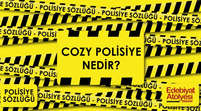 Cozy Polisiye Nedir?