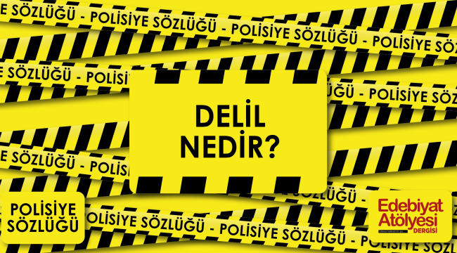 Delil Nedir?